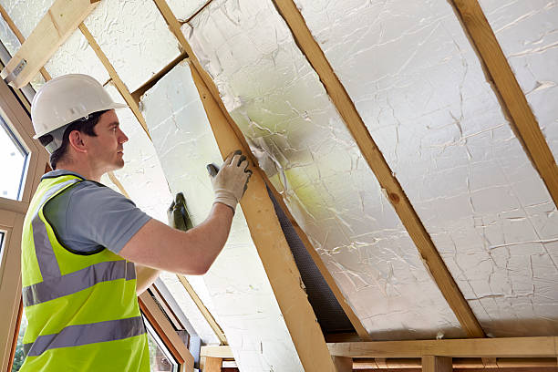 Best Commercial Insulation Services  in Ortonville, MN